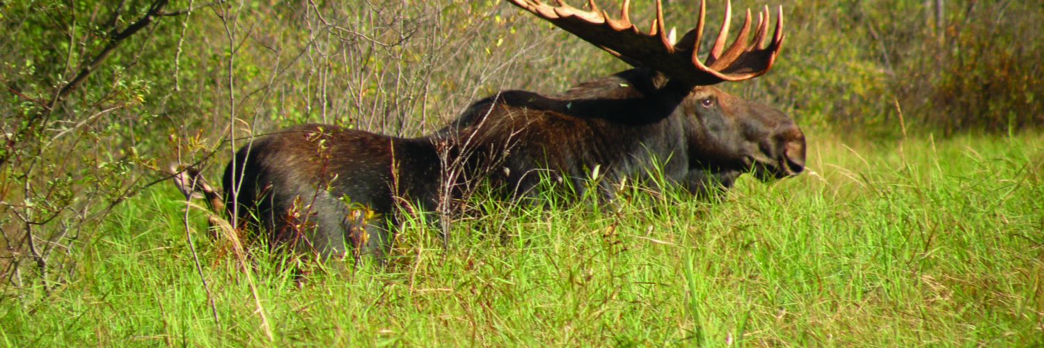 Hunting Trips in Ontario, Canada